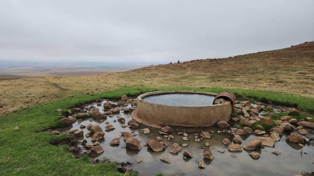 Mixed use farm for sale in Vrede - 1BTH1678056