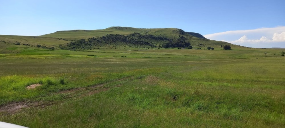 Mixed use farm for sale in Vrede - 1BTH1678056