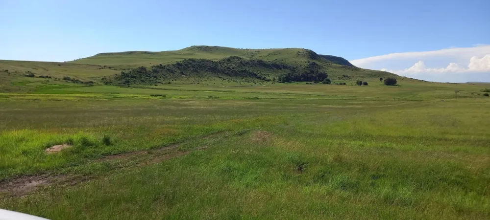 Mixed use farm for sale in Vrede - 1BTH1678056 Mixed use farm for sale in Vrede - 1BTH1678056