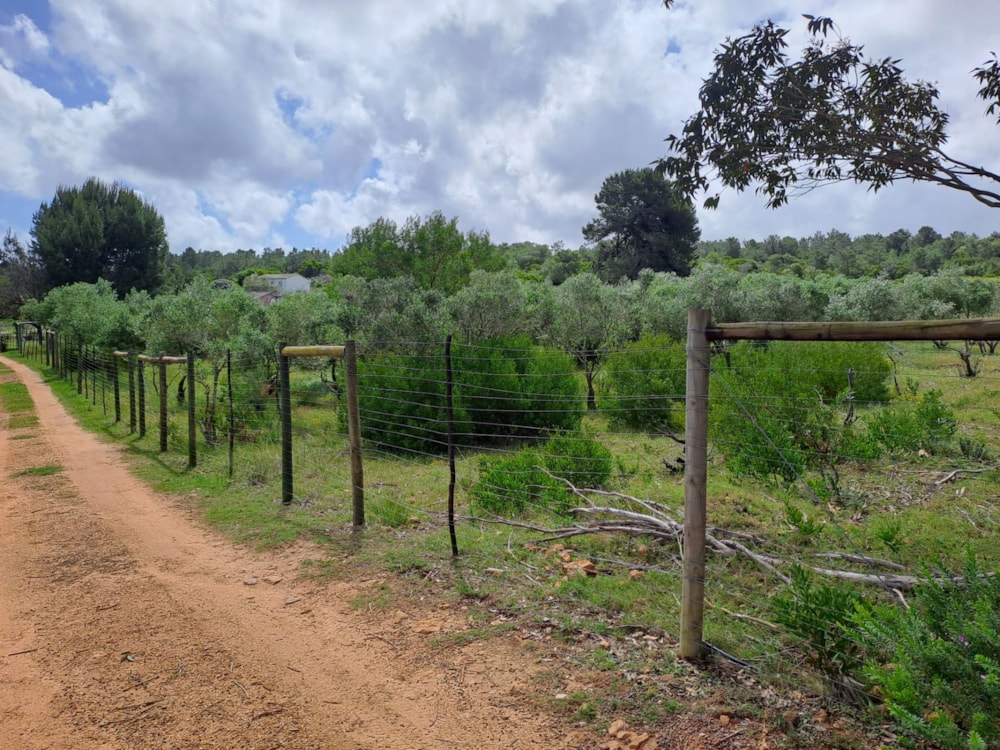 Vacant land for sale in Stilbaai East - 1SR1679221