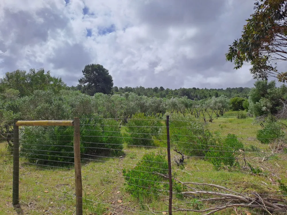 Vacant land for sale in Stilbaai East - 1SR1679221