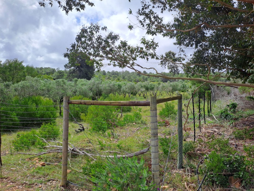 Vacant land for sale in Stilbaai East - 1SR1679221