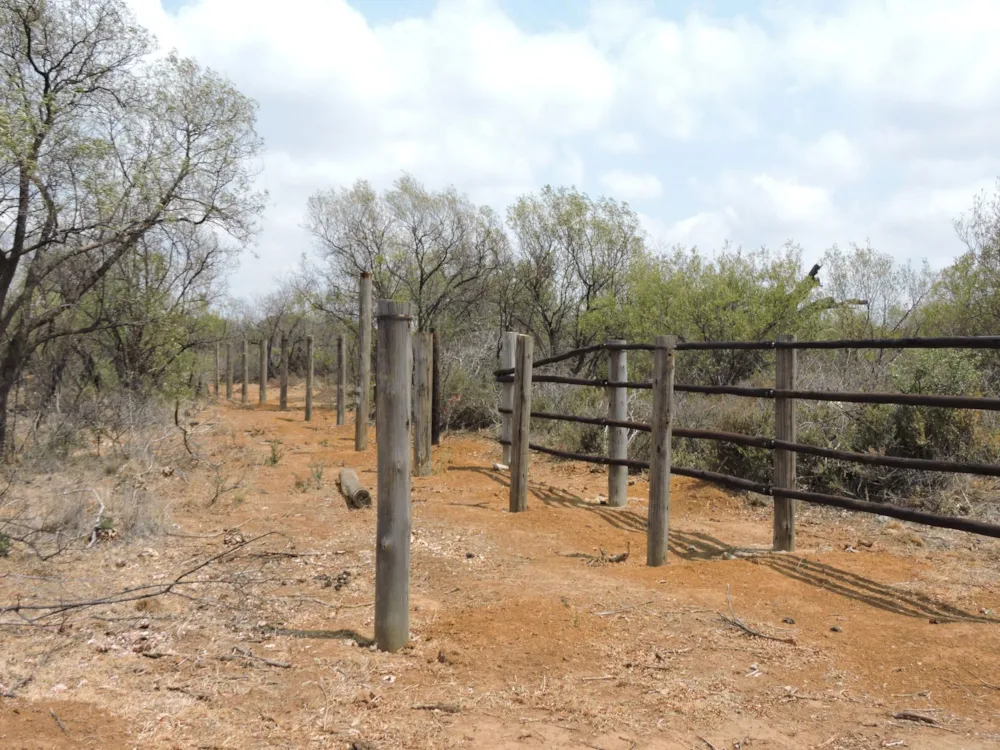 Livestock farm for sale in Zeerust - 1RU1678148 Livestock farm for sale in Zeerust - 1RU1678148