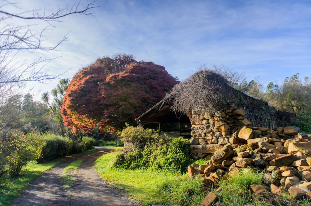 Residential vacant land for sale in Balgowan, Howick - 1PM1678203