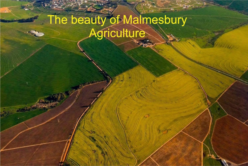 Commercial vacant land sold in Malmesbury Industria - 1SJ1678309 Commercial vacant land sold in Malmesbury Industria - 1SJ1678309