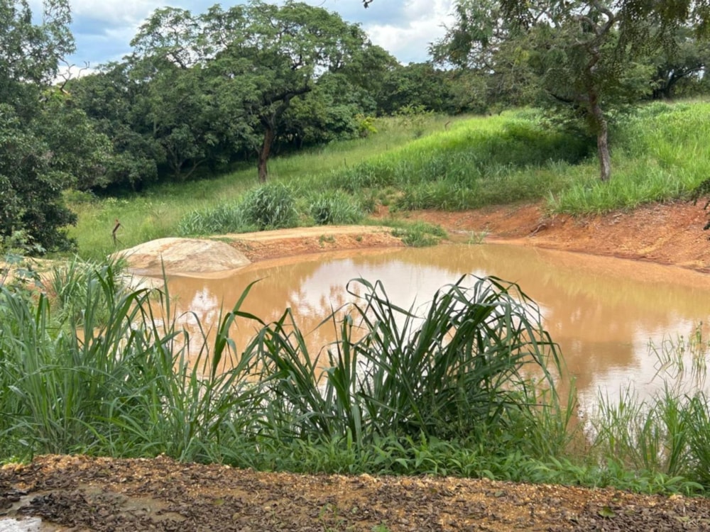 Vacant land for sale in Tzaneen Rural - 1TA1678373