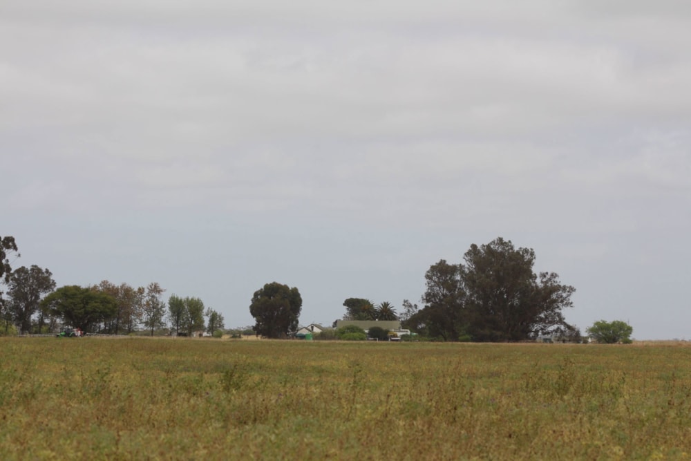 Mixed use farm for sale in Hopefield - LA1678428