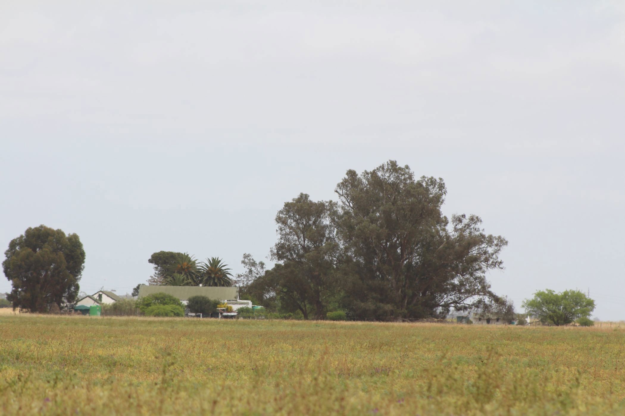 Mixed use farm for sale in Hopefield - LA1678428