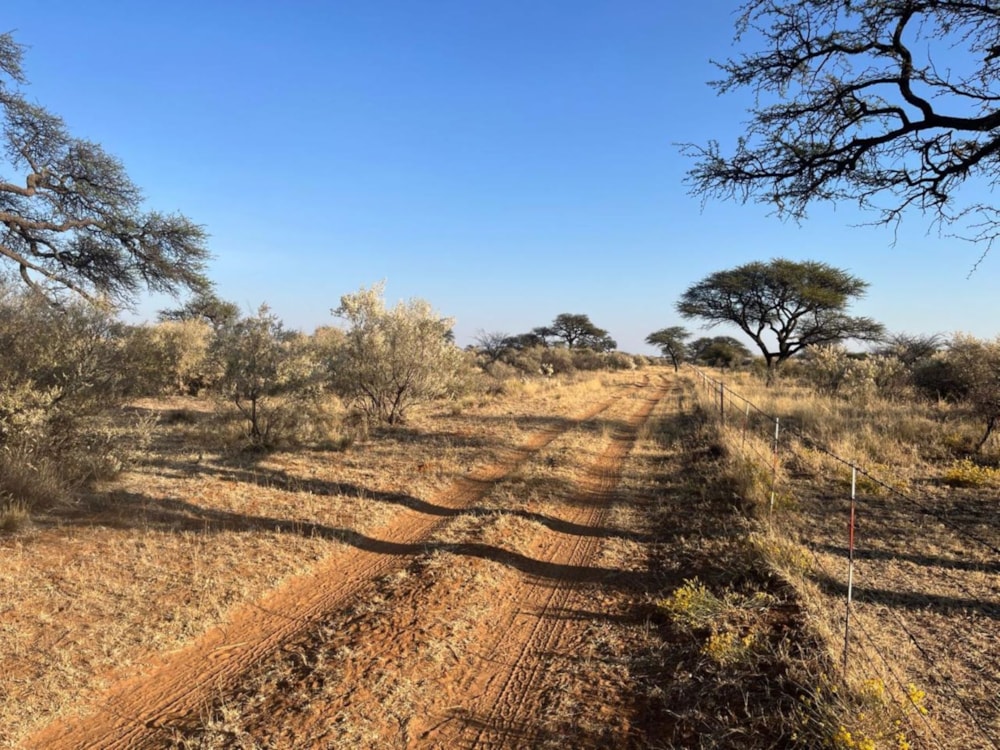 Livestock farm for sale in Louwna - 1RN1678472 Livestock farm for sale in Louwna - 1RN1678472