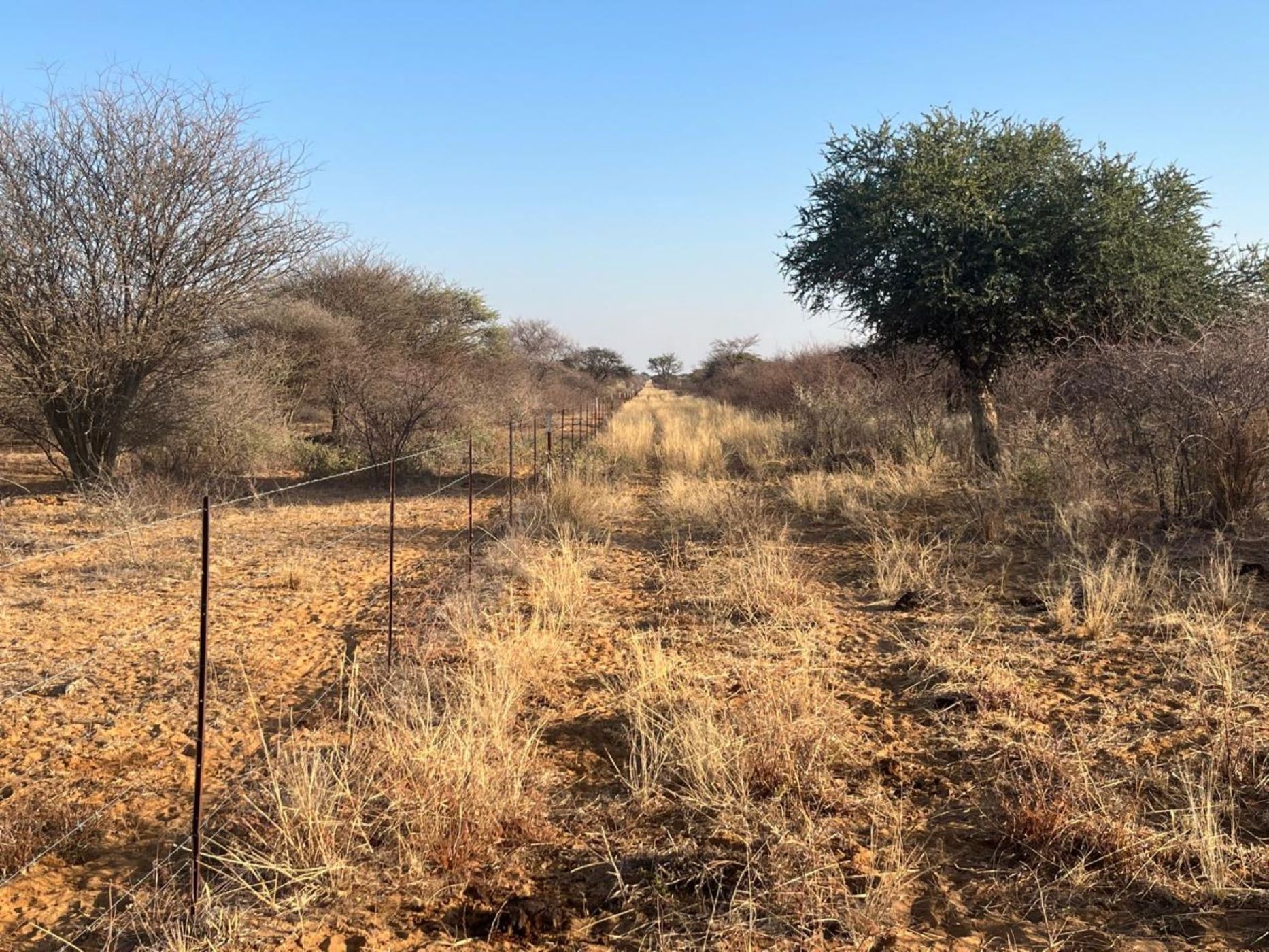 Livestock farm for sale in Louwna - 1RN1678472