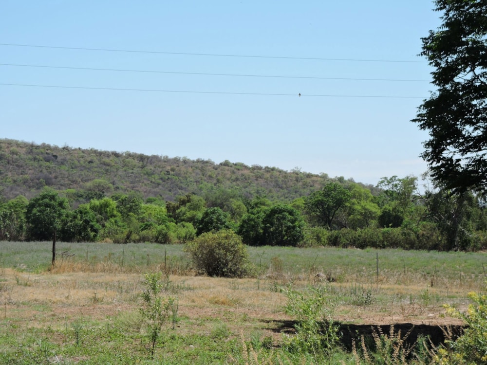 Citrus farm for sale in Rustenburg - 1RU1678615