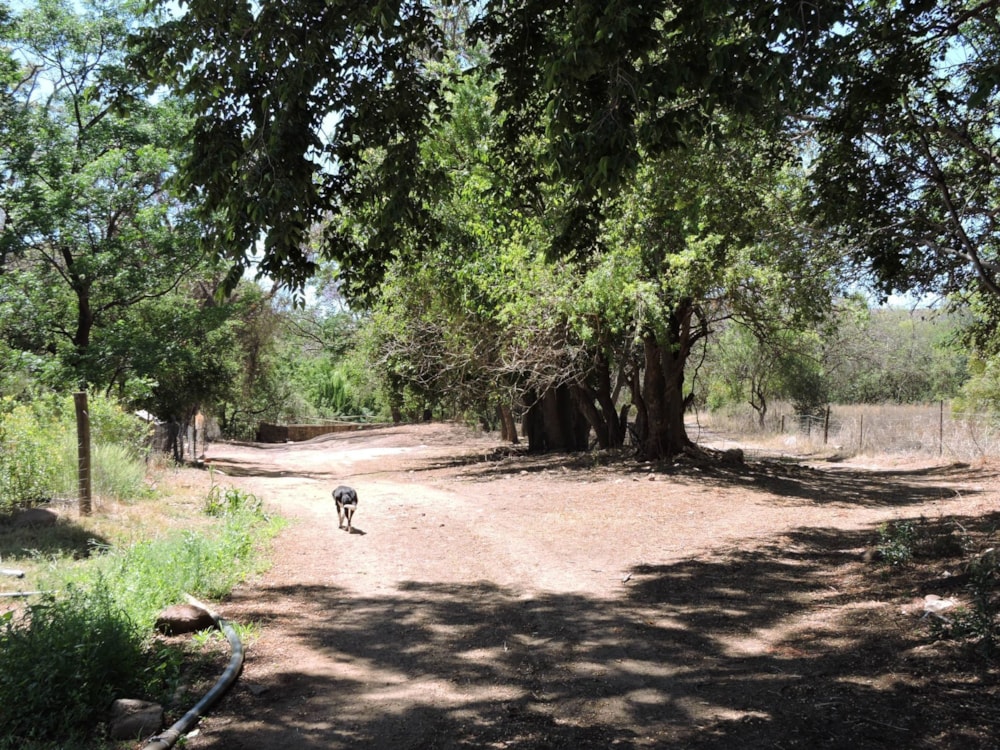 Citrus farm for sale in Rustenburg - 1RU1678615