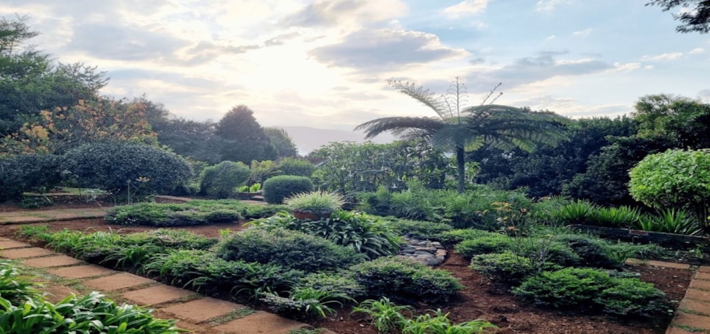 House for sale in Sabie - 1LY1678725