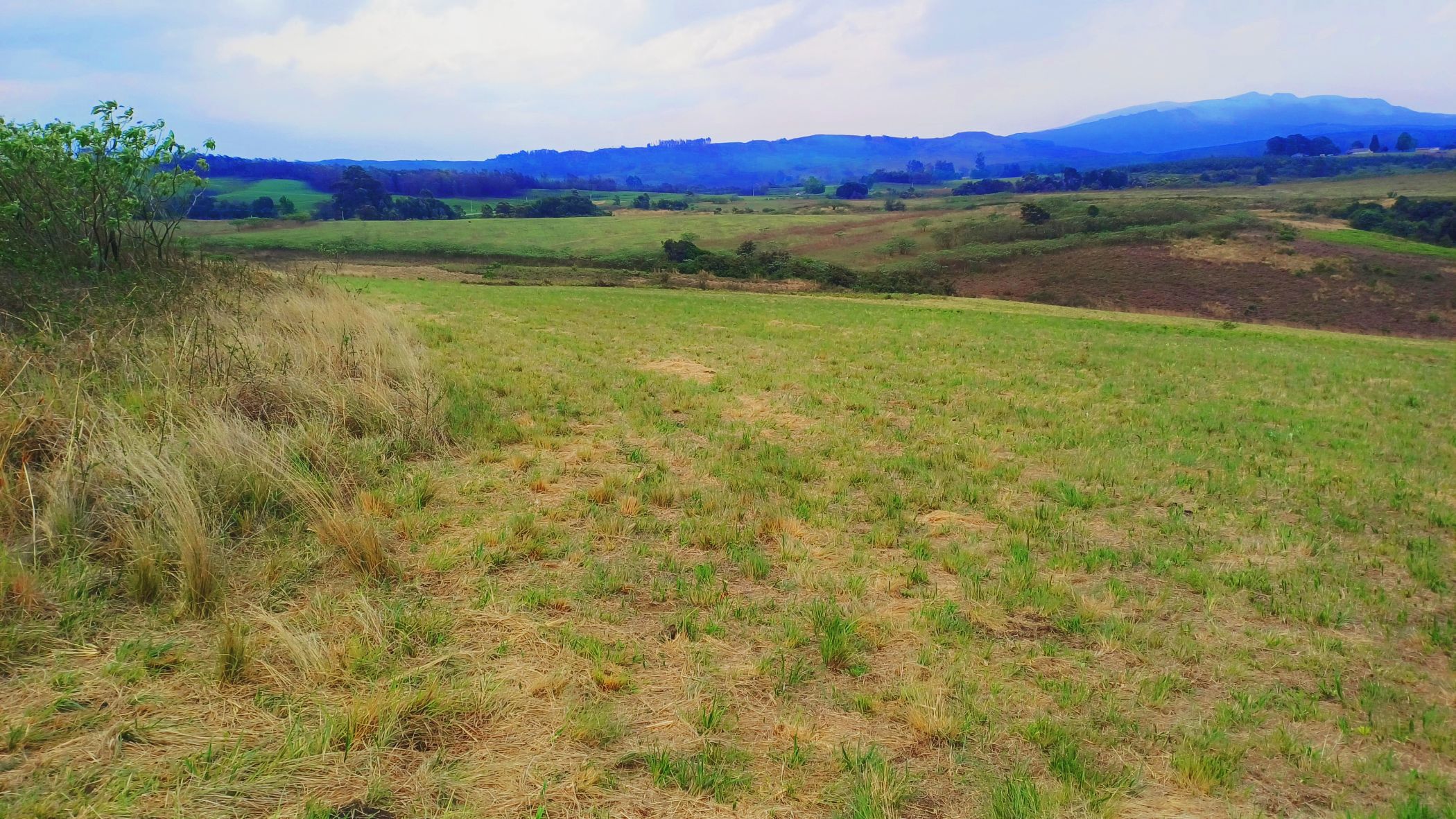 Farm vacant land sold in Impendle - 1PM1678724