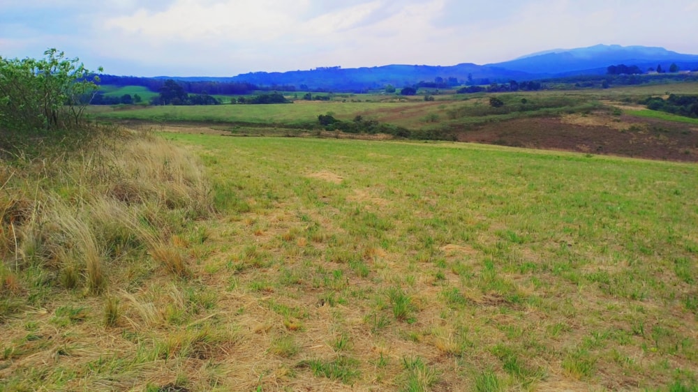 Farm vacant land sold in Impendle - 1PM1678724 Farm vacant land sold in Impendle - 1PM1678724