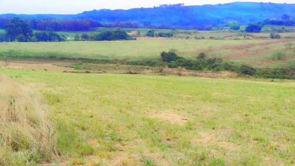 Farm vacant land sold in Impendle - 1PM1678724 Farm vacant land sold in Impendle - 1PM1678724