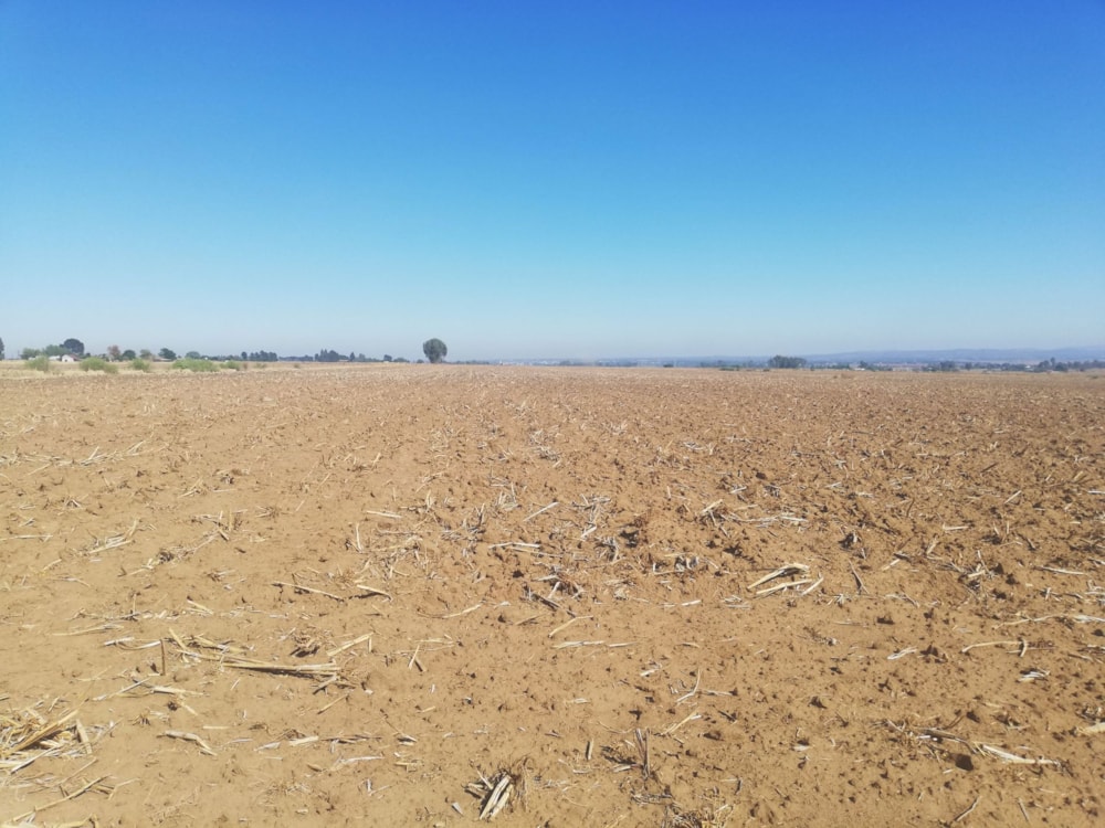 Farm vacant land for sale in Meyerton - 1VT1679569