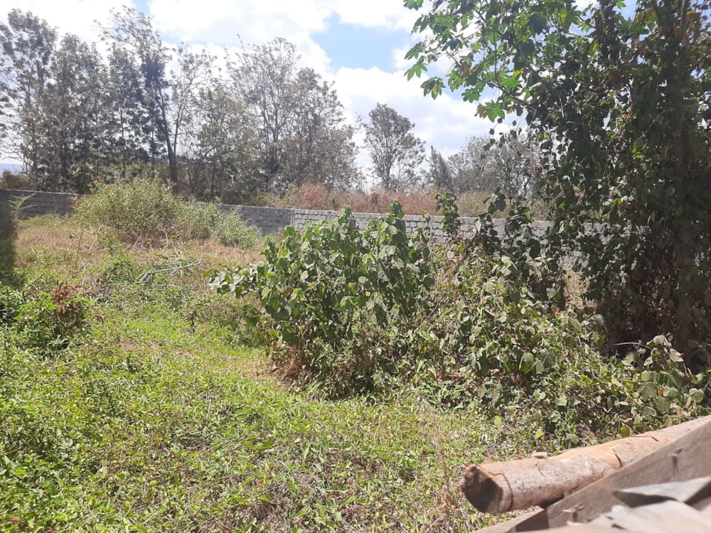Vacant land for sale in Athi River, Kenya - 3KE1678878