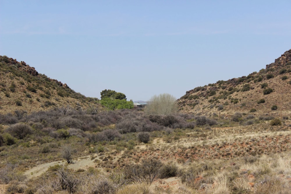 Livestock farm for sale in Richmond, Northern Cape - 1KK1679124 Livestock farm for sale in Richmond, Northern Cape - 1KK1679124