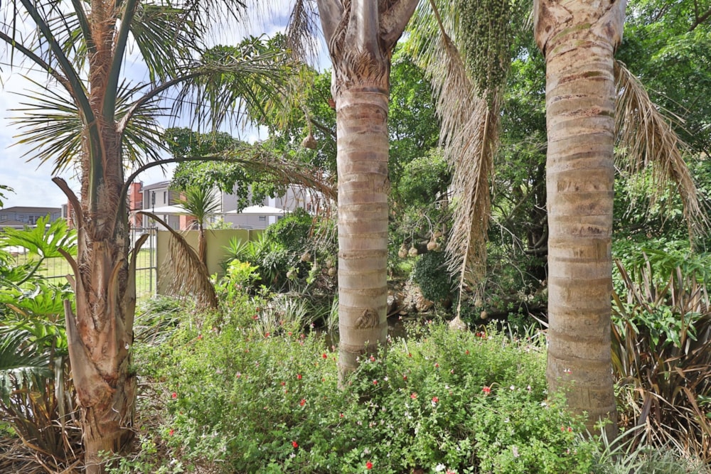 Townhouse let in Brentwood Park, Port Elizabeth, Gqeberha - 1PLZ1679166 Townhouse let in Brentwood Park, Port Elizabeth, Gqeberha - 1PLZ1679166