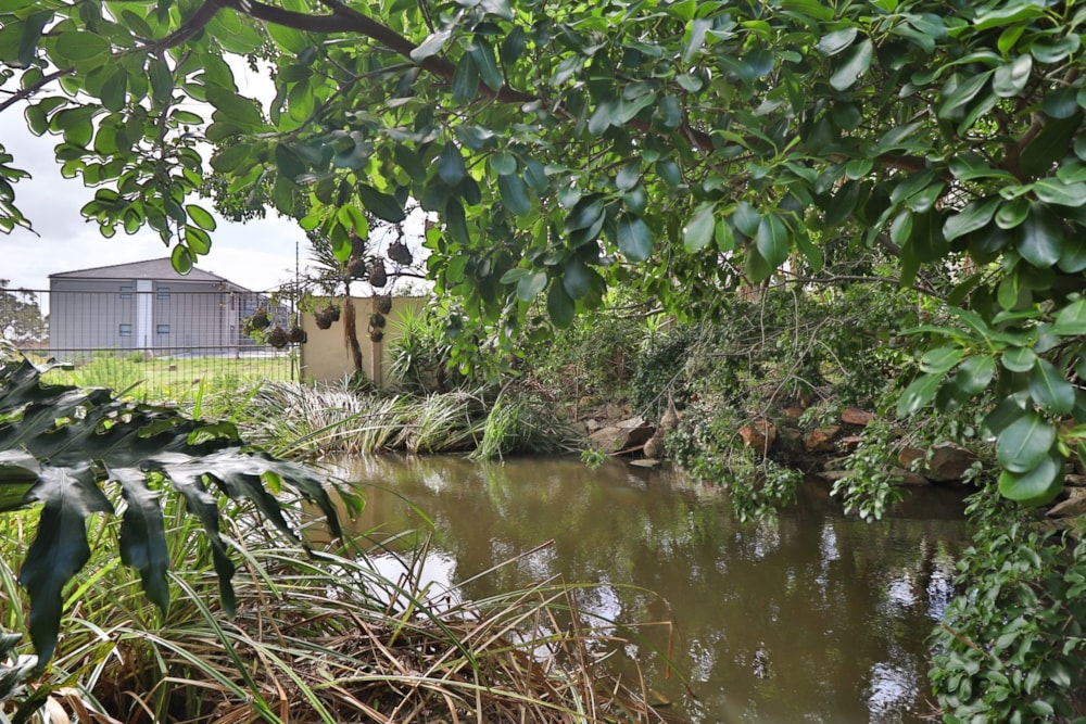 Townhouse let in Brentwood Park, Port Elizabeth, Gqeberha - 1PLZ1679166 Townhouse let in Brentwood Park, Port Elizabeth, Gqeberha - 1PLZ1679166