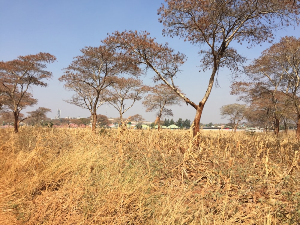 Residential vacant land for sale in Lilayi, Zambia - 3ZA1679101 Residential vacant land for sale in Lilayi, Zambia - 3ZA1679101
