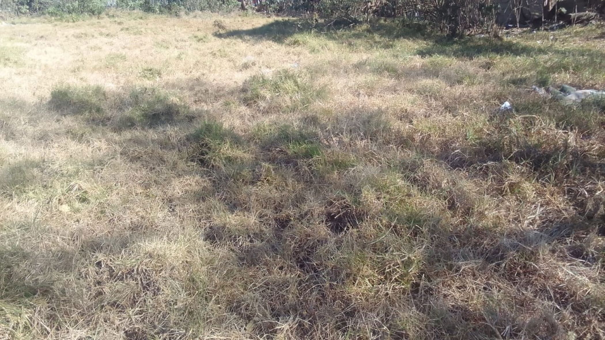 Vacant land for sale in Mthatha Central - 1MH1679574