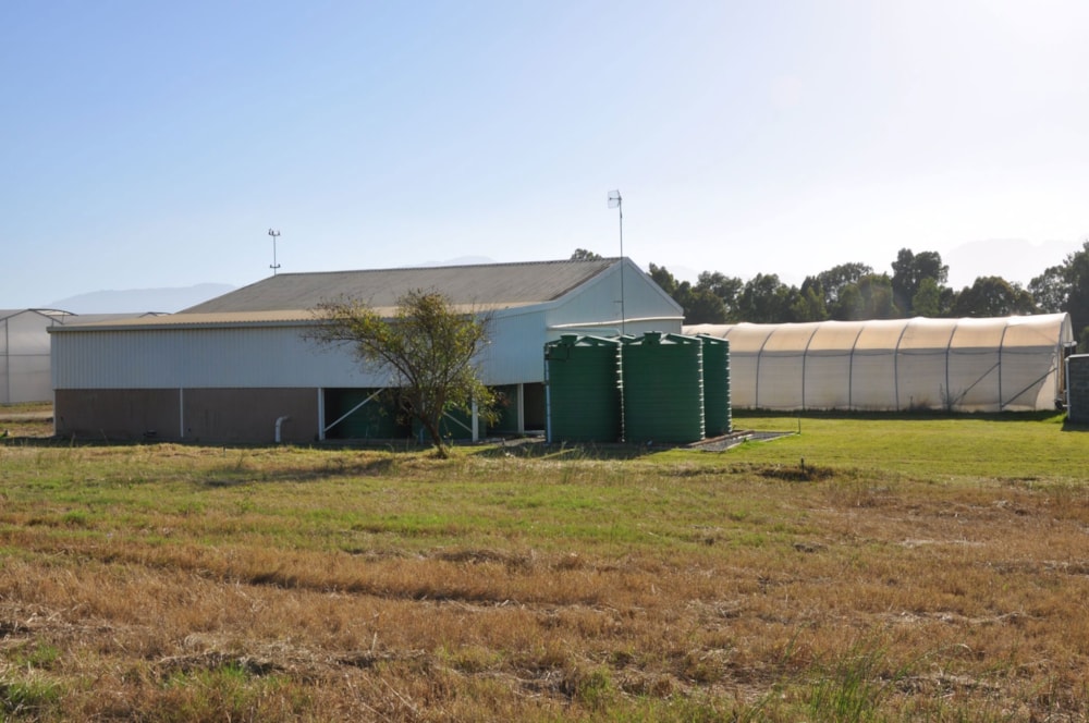 Mixed use farm sold in Riebeek Valley - RV1668618 Mixed use farm sold in Riebeek Valley - RV1668618