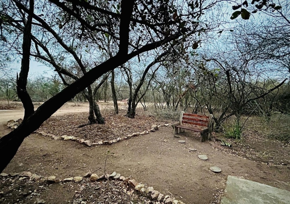 House let in Marloth Park - 1NK1679047 House let in Marloth Park - 1NK1679047