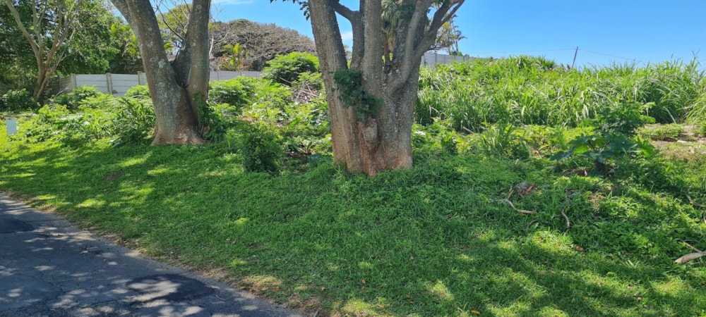 Vacant land for sale in Port Edward - 1PD1248264