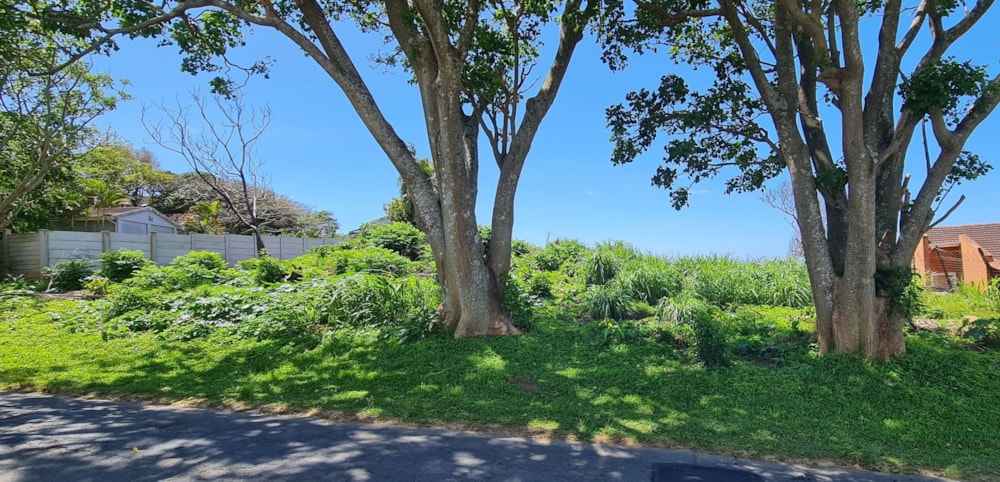 Vacant land for sale in Port Edward - 1PD1248264