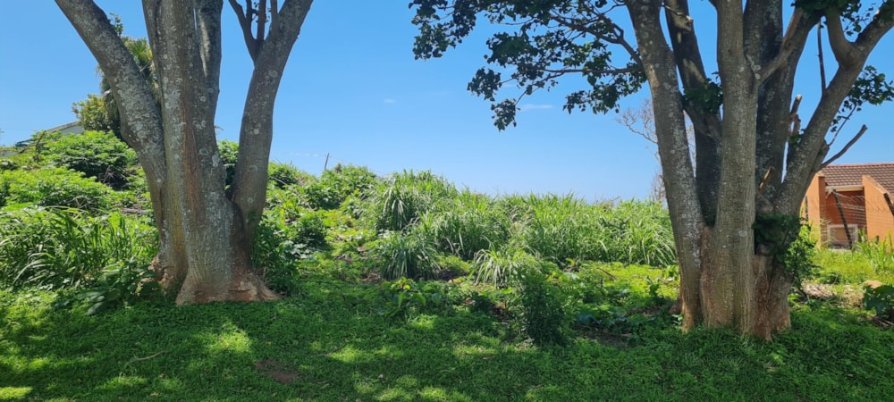 Vacant land for sale in Port Edward - 1PD1248264