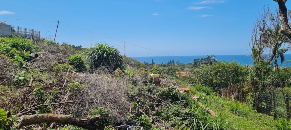 Vacant land for sale in Port Edward - 1PD1248264
