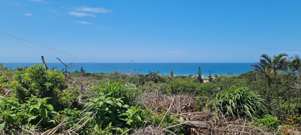 Vacant land for sale in Port Edward - 1PD1248264