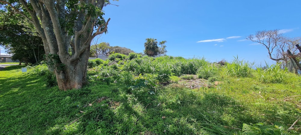 Vacant land for sale in Port Edward - 1PD1248264