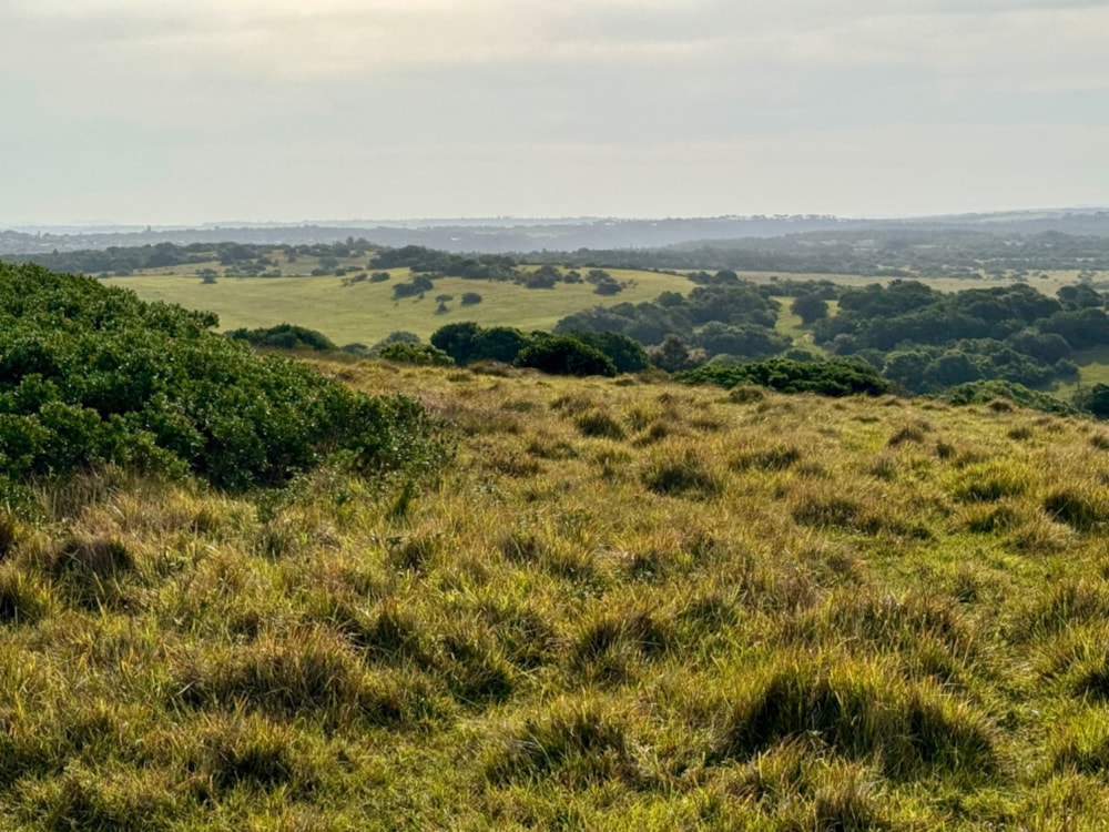 Vacant land for sale in Kenton Eco Estate - 1KO1677126