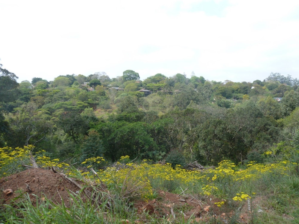 Residential vacant land for sale in Kloof - 1KF1676511 Residential vacant land for sale in Kloof - 1KF1676511