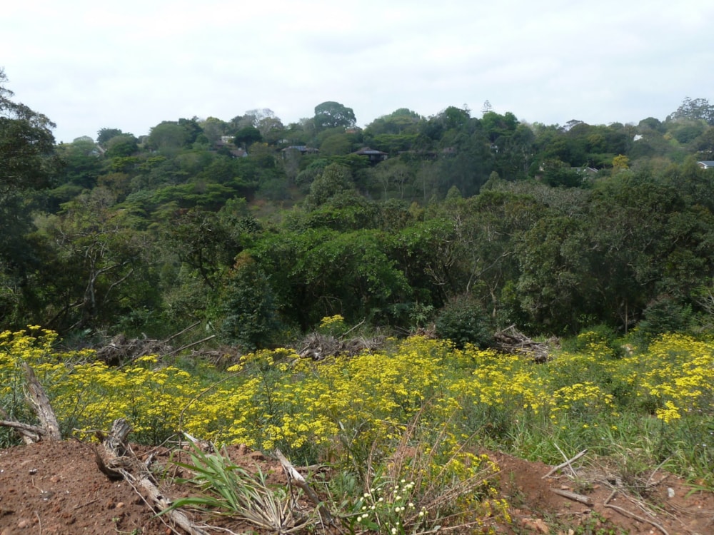 Residential vacant land for sale in Kloof - 1KF1676511 Residential vacant land for sale in Kloof - 1KF1676511