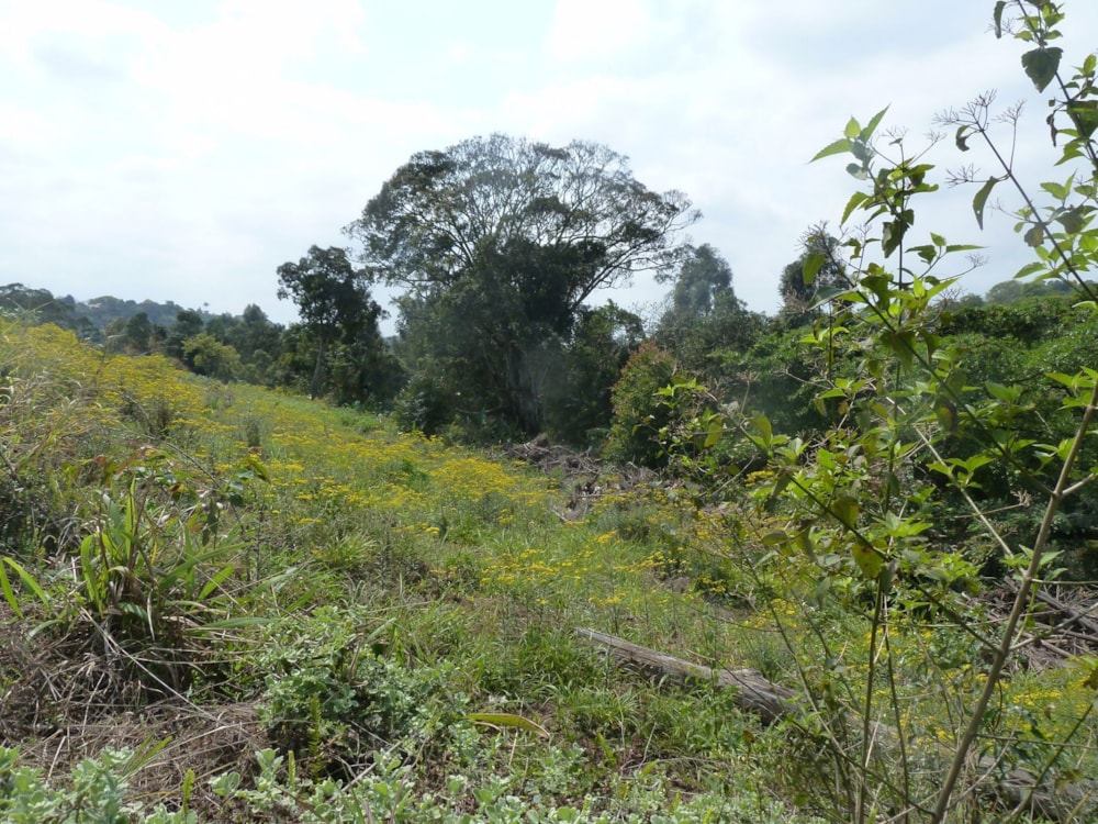 Residential vacant land for sale in Kloof - 1KF1676511 Residential vacant land for sale in Kloof - 1KF1676511