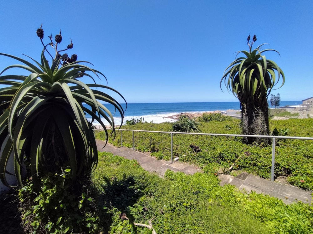 Apartment for sale in Margate - 1PSH1678595