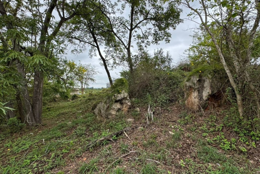 Residential vacant land for sale in Elawini Lifestyle Estate - 1NS1680804