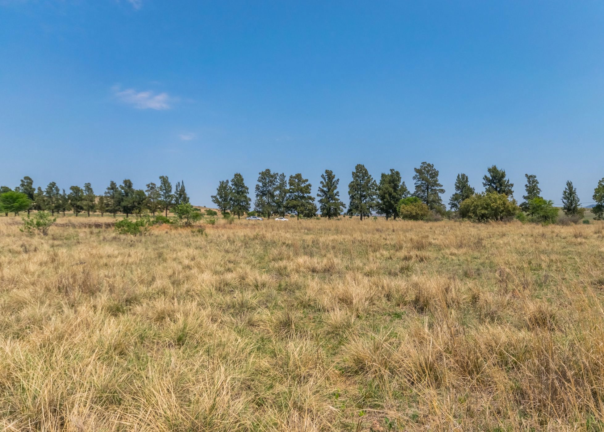 Farm vacant land for sale in Letamo Game Farm - 1KR1682221