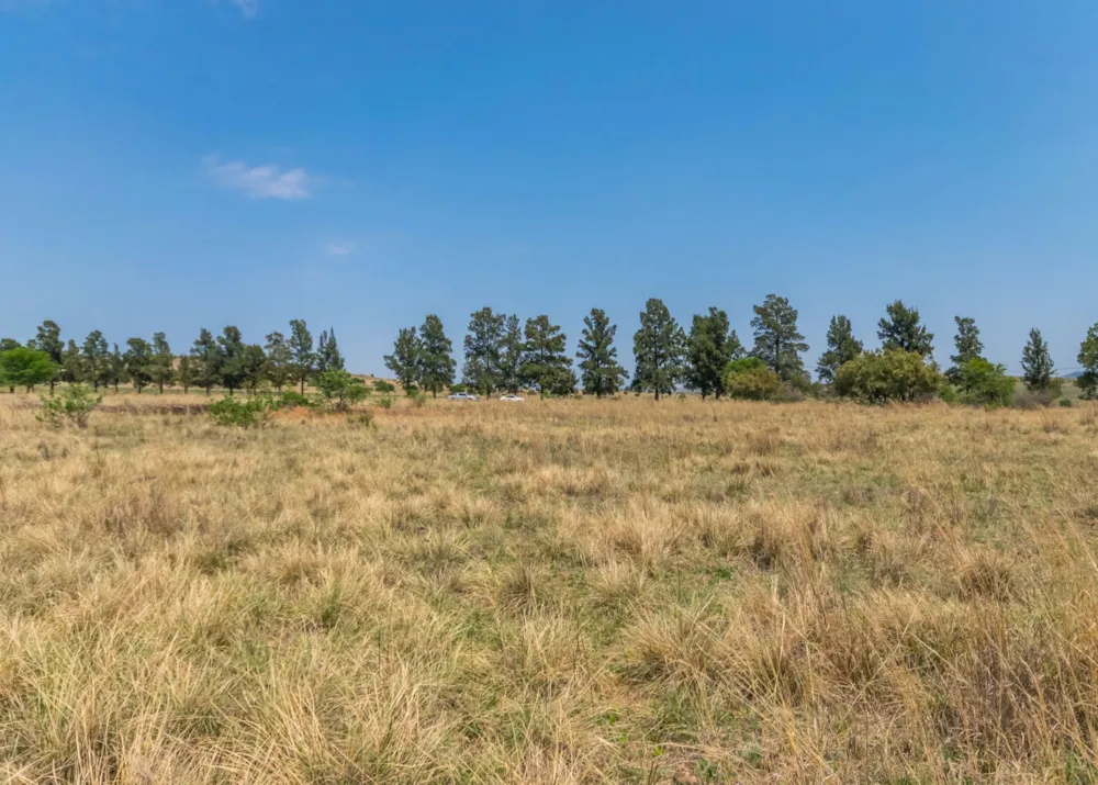 Farm vacant land sold in Letamo Game Farm - 1KR1682221