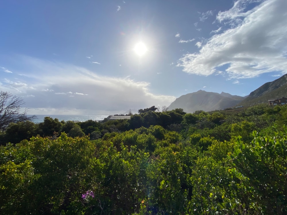 Vacant land for sale in Bettys Bay - KN1679543 Vacant land for sale in Bettys Bay - KN1679543
