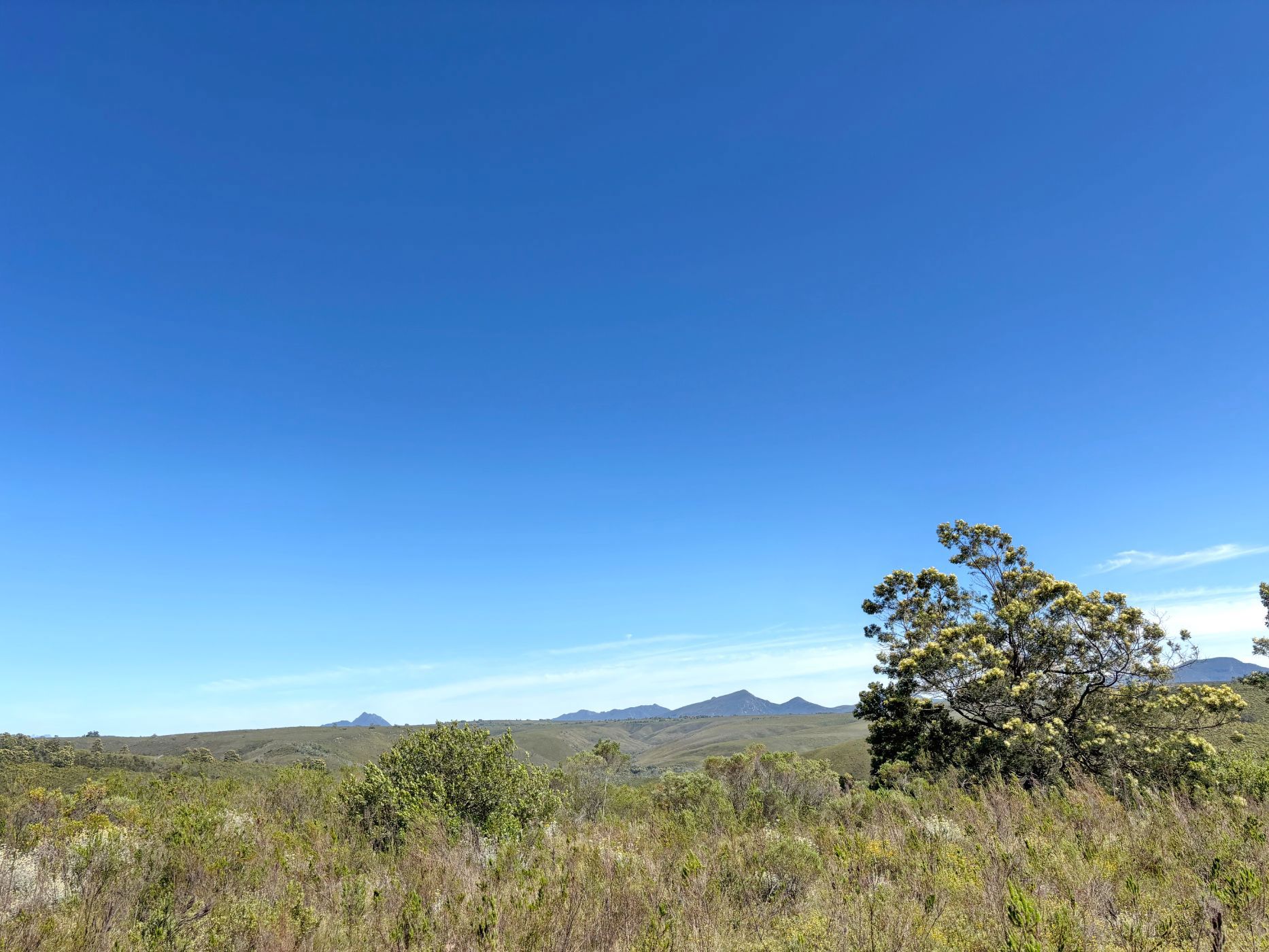 Residential vacant land for sale in Gondwana Game Reserve - 1MB1680667