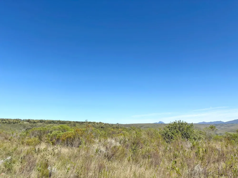 Residential vacant land sold in Gondwana Game Reserve - 1MB1680667 Residential vacant land sold in Gondwana Game Reserve - 1MB1680667