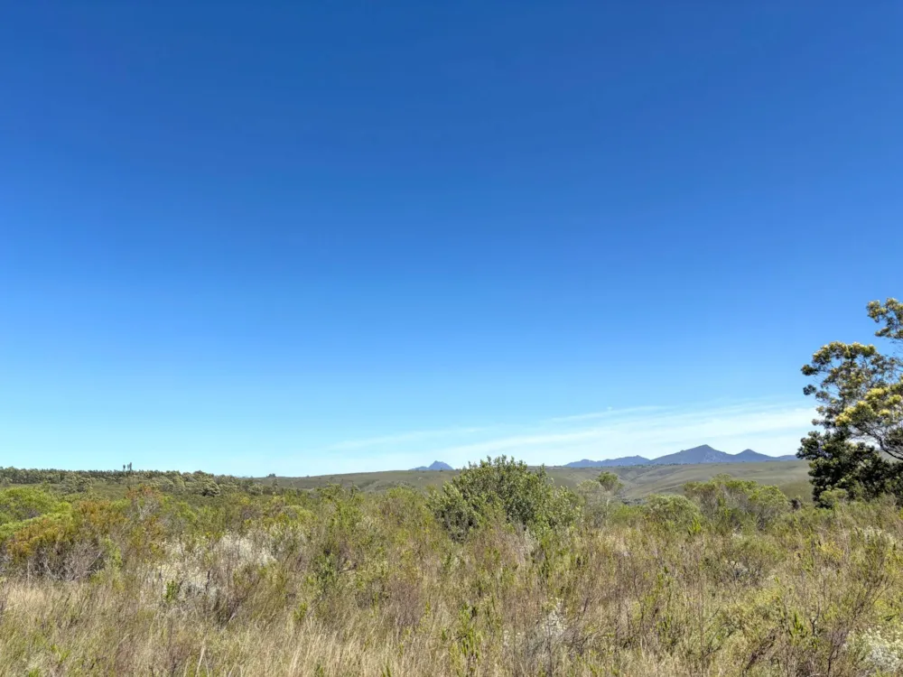 Residential vacant land sold in Gondwana Game Reserve - 1MB1680667 Residential vacant land sold in Gondwana Game Reserve - 1MB1680667