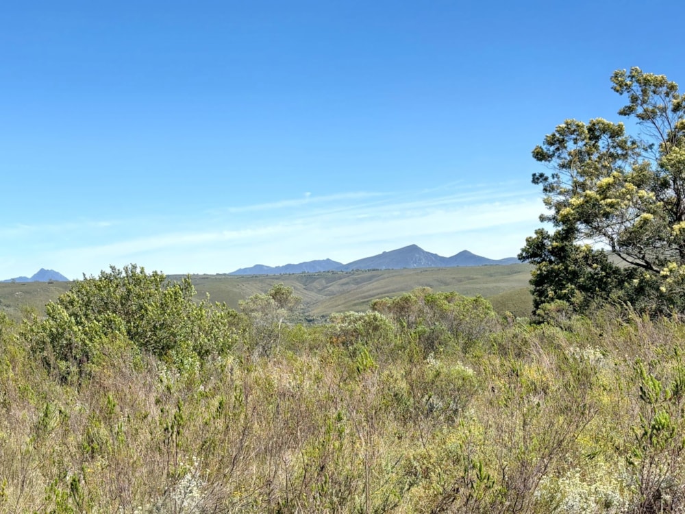 Residential vacant land for sale in Gondwana Game Reserve - 1MB1680667 Residential vacant land for sale in Gondwana Game Reserve - 1MB1680667