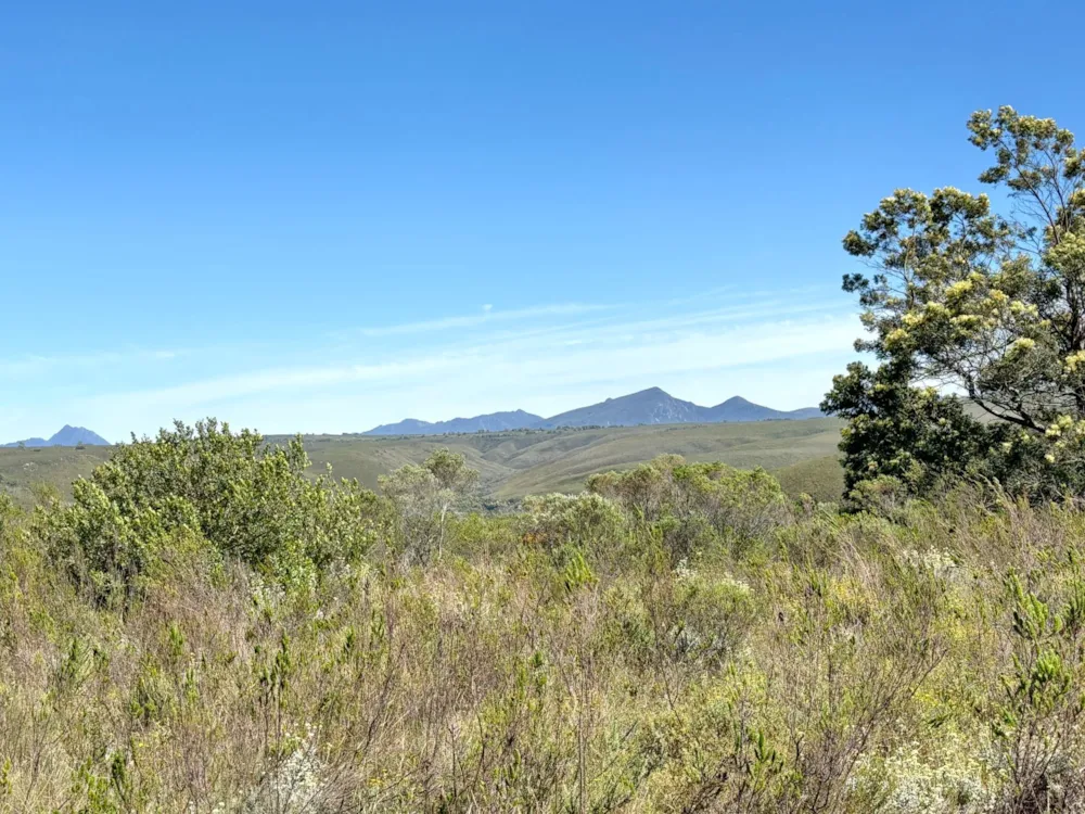 Residential vacant land sold in Gondwana Game Reserve - 1MB1680667 Residential vacant land sold in Gondwana Game Reserve - 1MB1680667