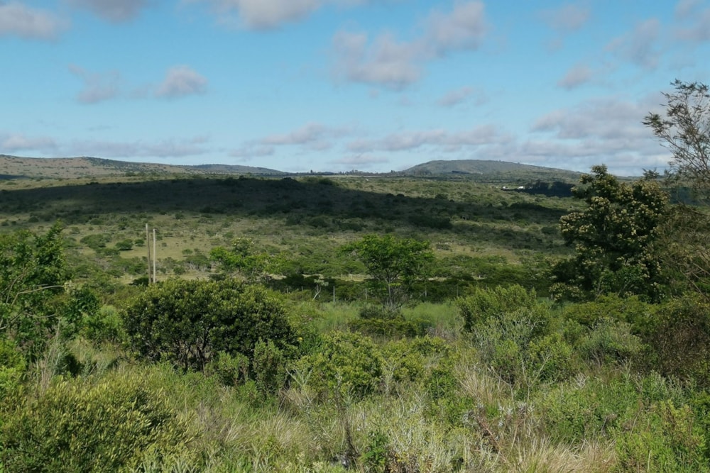 Vacant land for sale in Grahamstown (Makhanda) - 1GC1682530 Vacant land for sale in Grahamstown (Makhanda) - 1GC1682530